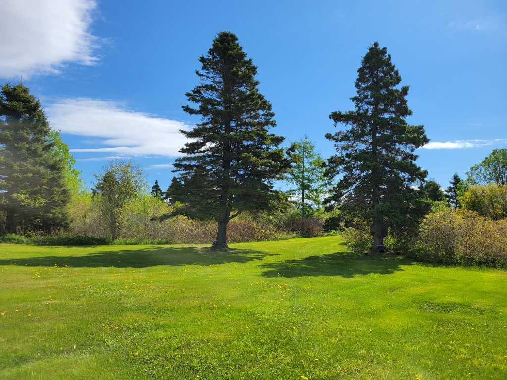 Grande-Rivière Rare terrain au bord de l'eau sur la Baie du Petit-Pabos (lot 5 293 883) — photo 3