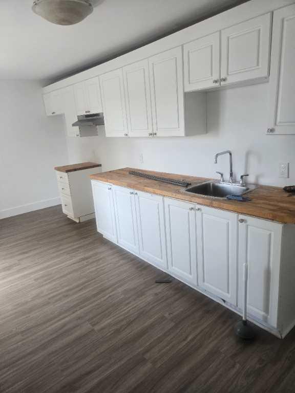 4 et demi st-jerome — photo 2