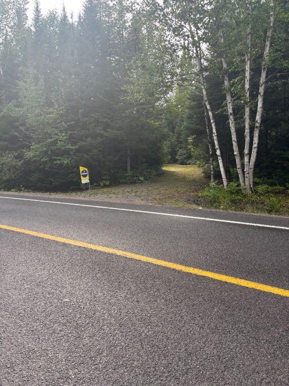 Terrain de 54 350 pieds carrés à Saint-Donat-de-Montcalm — photo 2