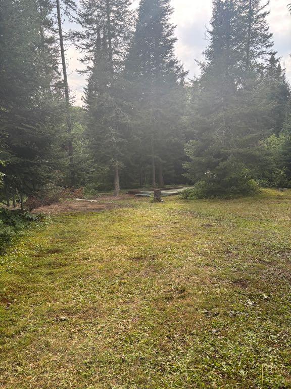 Terrain de 54 350 pieds carrés à Saint-Donat-de-Montcalm — photo 1