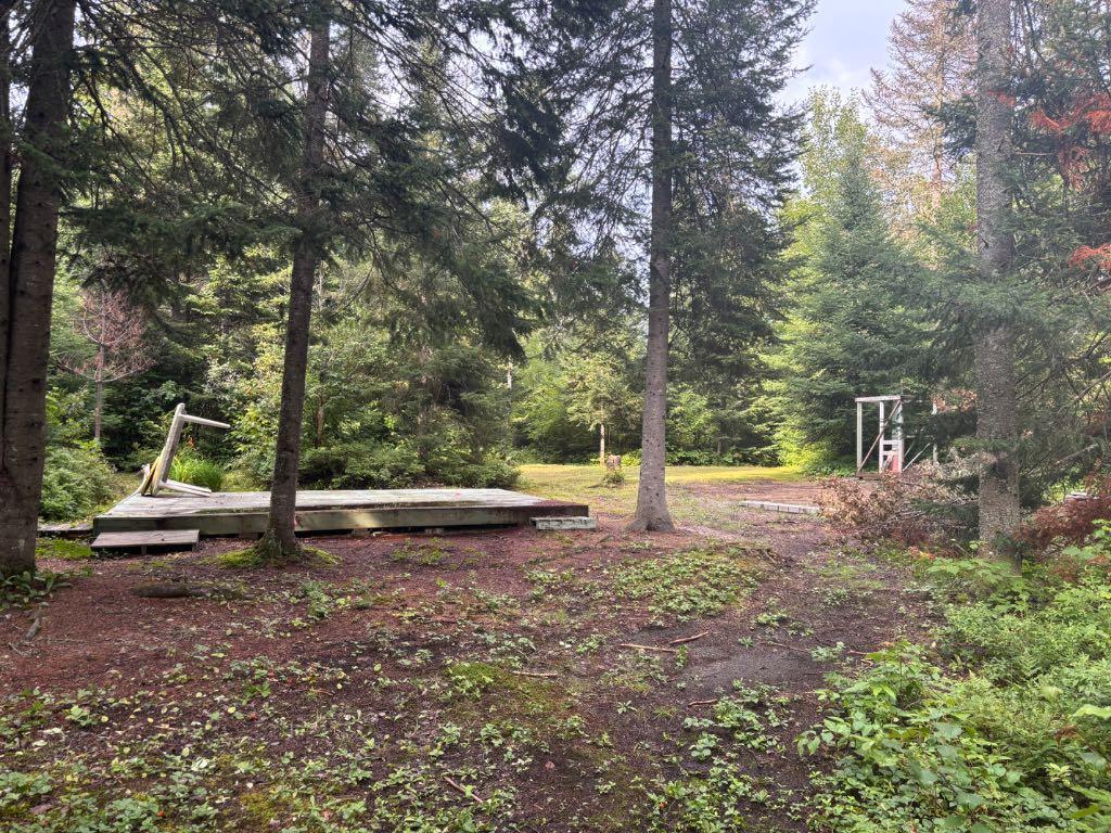 Terrain de 54 350 pieds carrés à Saint-Donat-de-Montcalm — photo 3