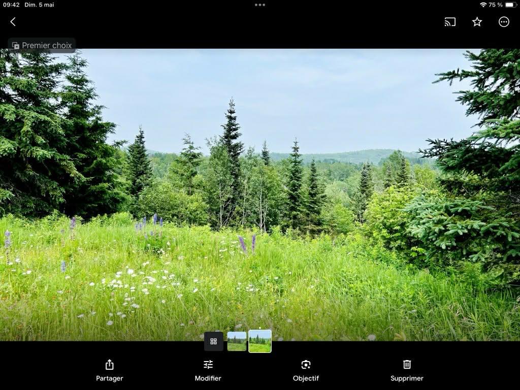 1 chemin de la Seigneurie, Éboulements, G0A 2M0 — photo 1