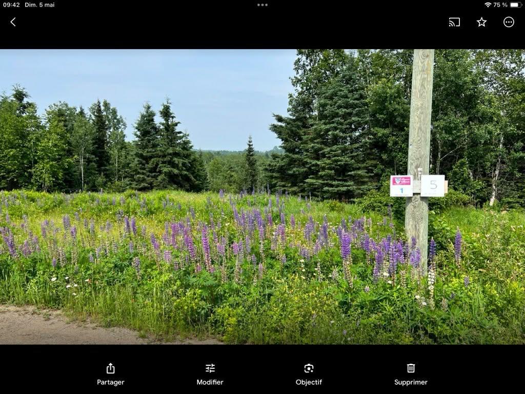 1 chemin de la Seigneurie, Éboulements, G0A 2M0 — photo 2
