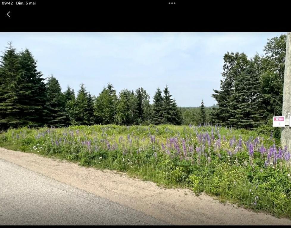 1 chemin de la Seigneurie, Éboulements, G0A 2M0 — photo 3