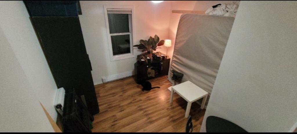 446 Rue Principale E Magog — photo 3