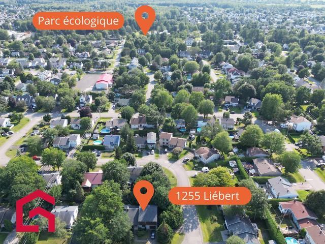 1255 Rue Liébert — photo 3