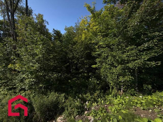 Terrain — photo 3