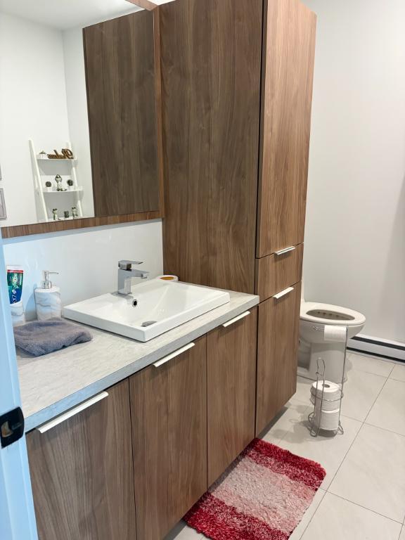 249 Rue Louis-Joseph Papineau — photo 3