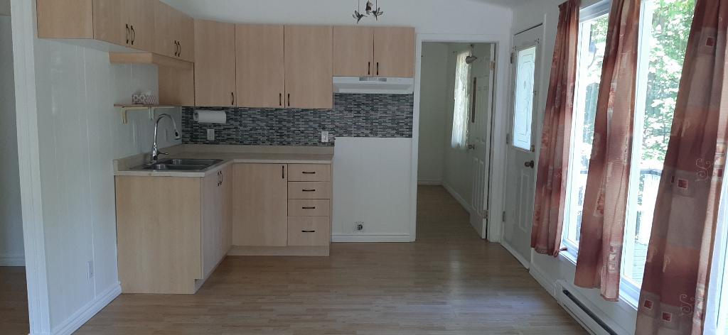 Maison à louer à Eastman — photo 2