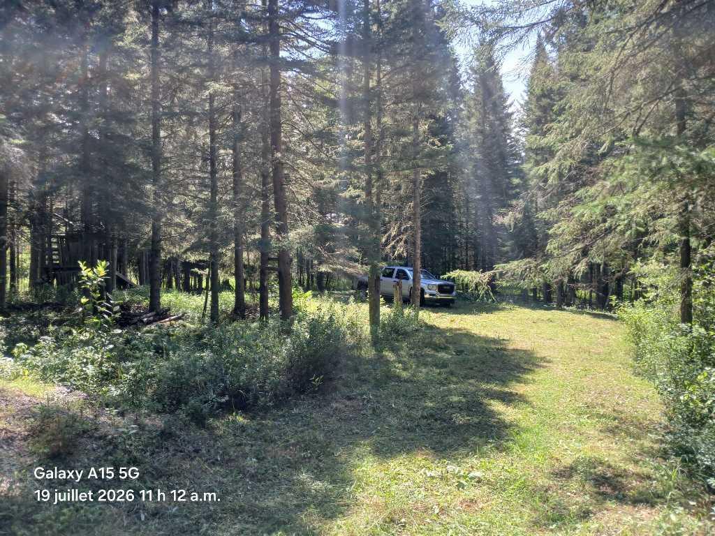 Terrain a Saint-Zénon — photo 2