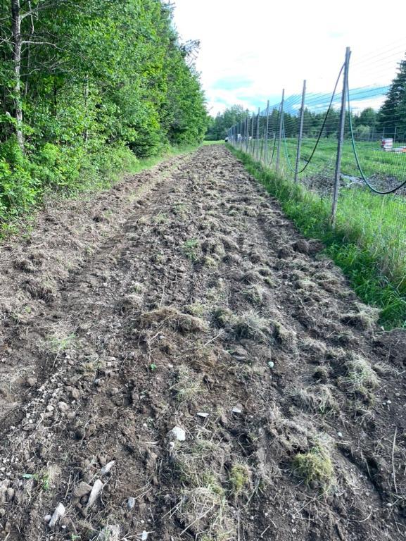 312 Chemin Smith, Cookshire-Eaton, QC, Canada — photo 3
