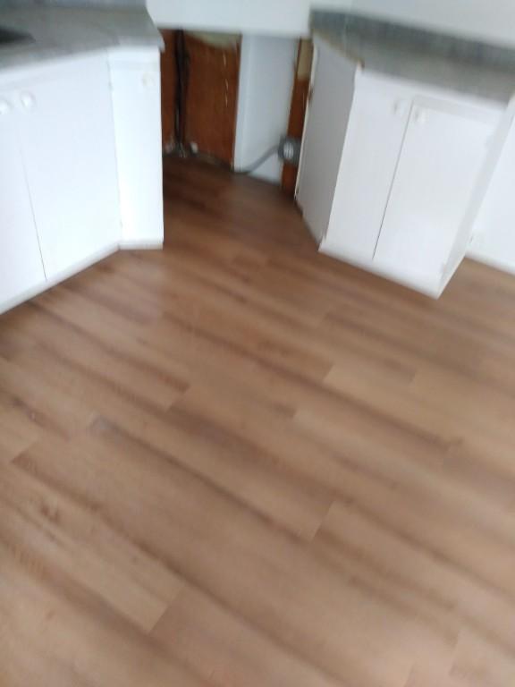 346 Rue St Viateur — photo 3