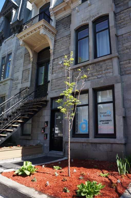 2031 Rue Saint-Hubert — photo 1