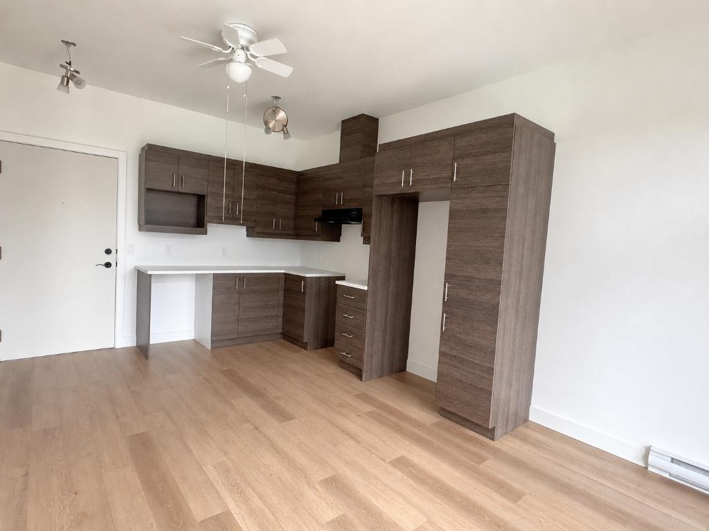 48 Rue Préfontaine Est — photo 2