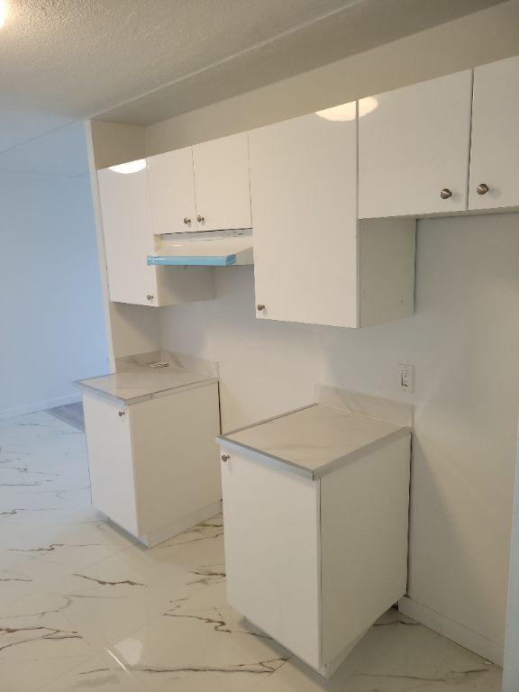 4530 Boulevard des Sources — photo 3