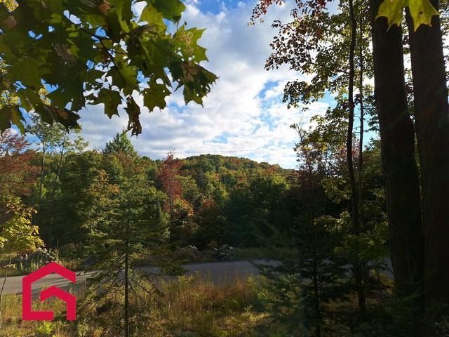 Terrain — photo 2