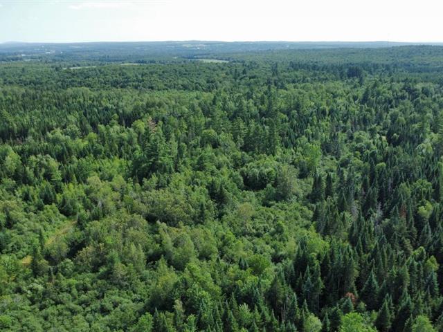 Terrain — photo 2