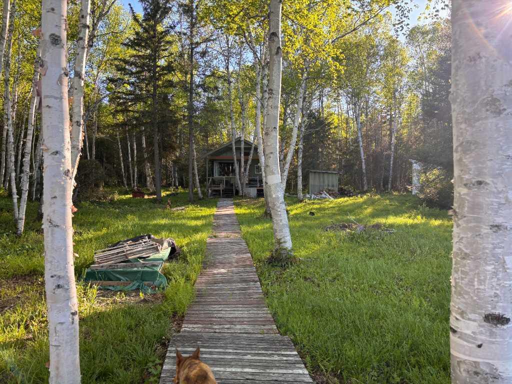 31 Chemin de la Baie-Carrière, Val-d'Or, QC, Canada — photo 3
