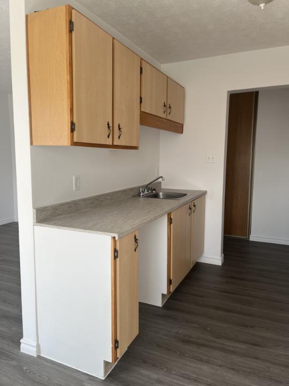 360 Rue Simonds Sud — photo 3