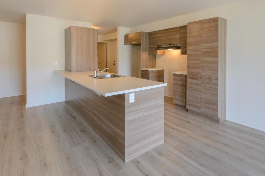 205 Rue Jean-Paul-Riopelle — photo 1