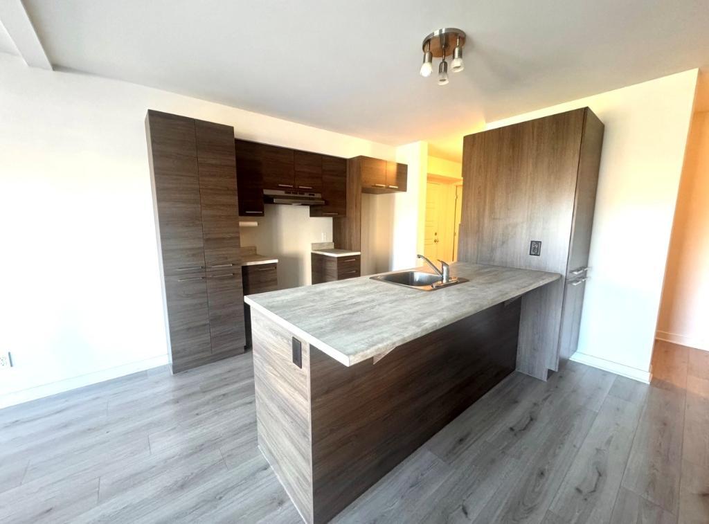 253 Rue Jean-Paul-Riopelle — photo 1
