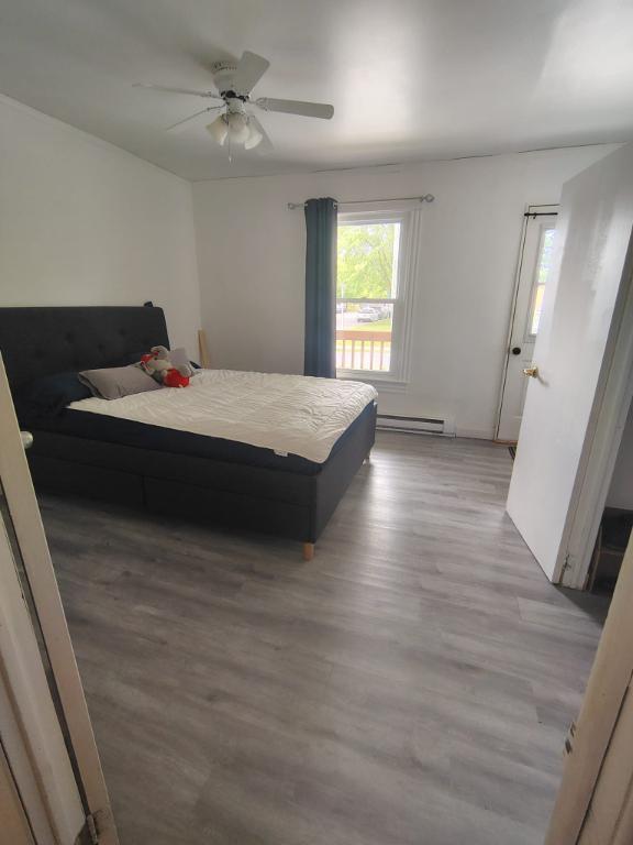 807 Rue Saint-Paul — photo 2
