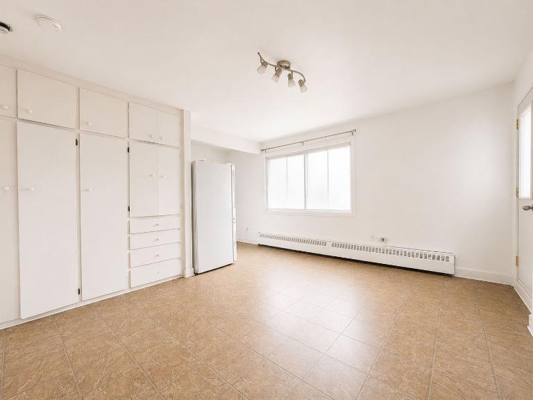 6680 Av. des Érables — photo 1