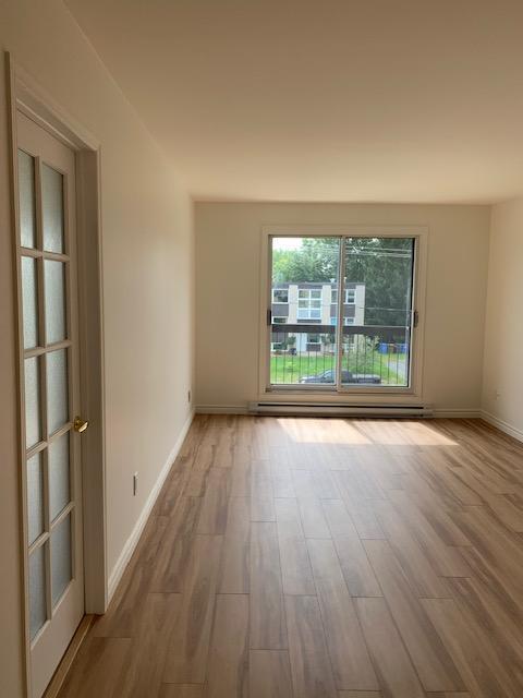 119 Rue Lafrance Ouest — photo 3