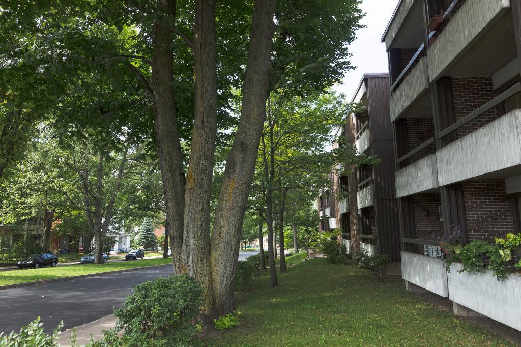 3 1/2 Ste-Foy - Tout inclus - près du cégep Garneau - libre 5