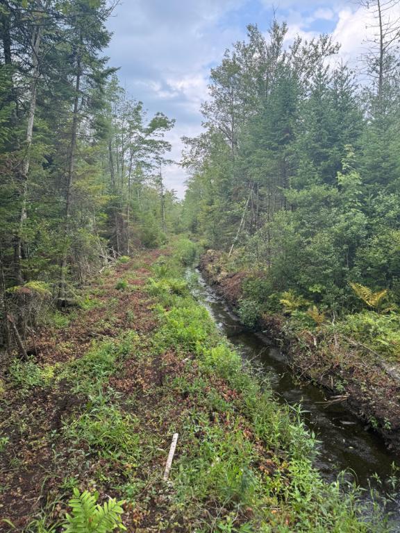 10e Rang ouest, Wickham, QC, Canada — photo 1