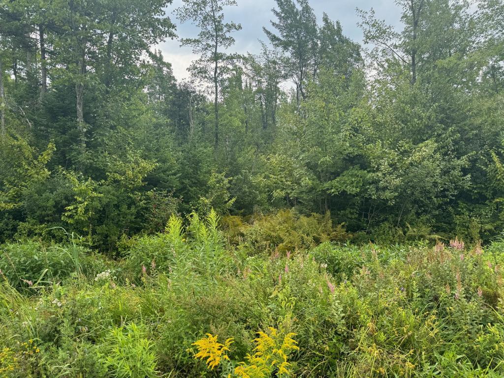 10e Rang ouest, Wickham, QC, Canada — photo 3