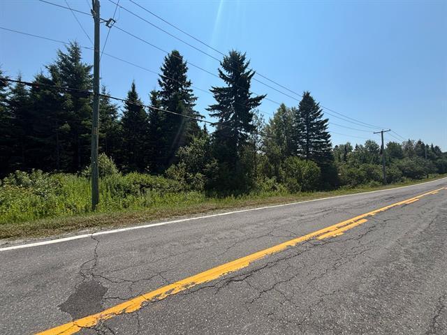 Lac-Drolet, Estrie. Située dans la région de Lac-Mégantic, Terre à bois de 46 acres est bordée par le lac du Rat Musqué. Excellent secteur de chasse z — photo 2