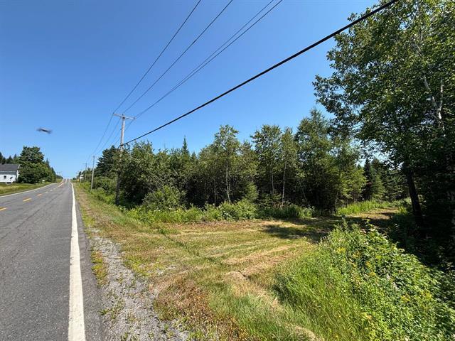 Lac-Drolet, Estrie. Située dans la région de Lac-Mégantic, Terre à bois de 46 acres est bordée par le lac du Rat Musqué. Excellent secteur de chasse z — photo 3