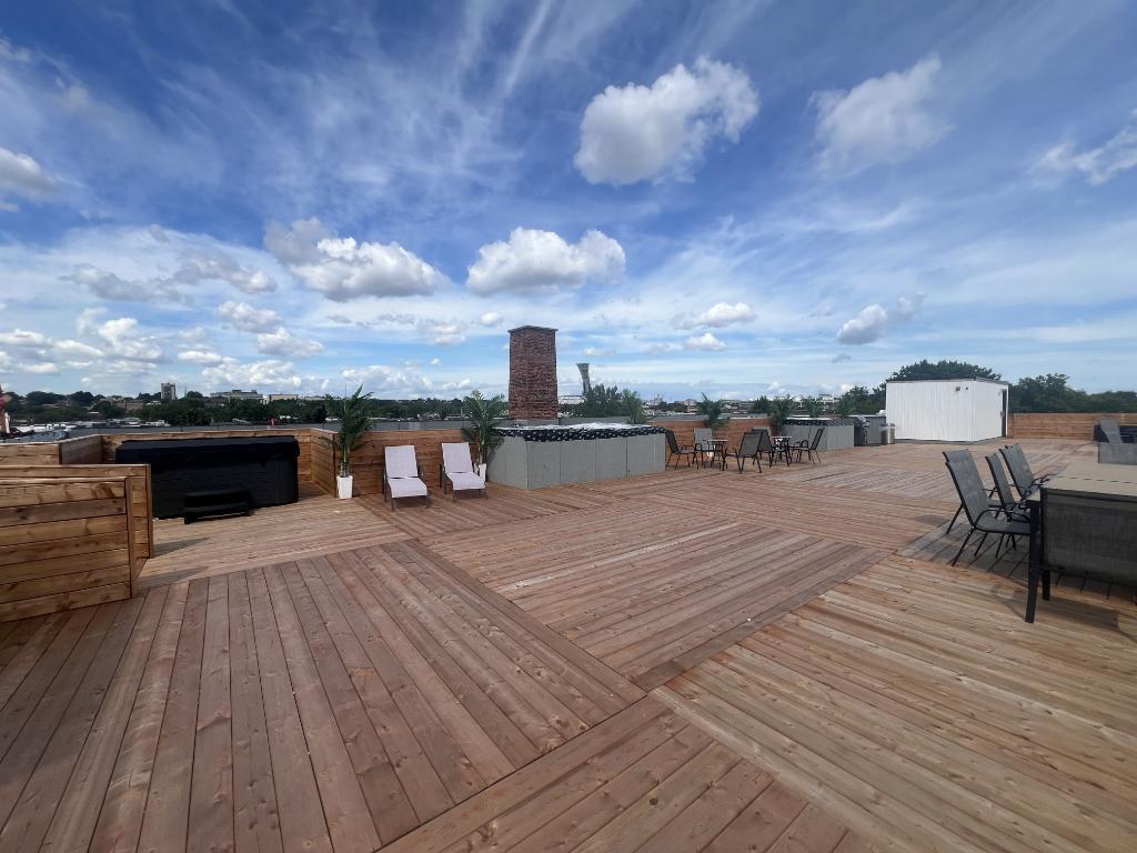 Spacious 3 1/2 in the heart of Hochelaga 5