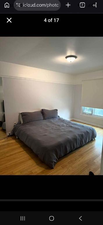 Grand 5½ à louer – Nouveau-Rosemont | Jusqu’à 1 300 pi² 2