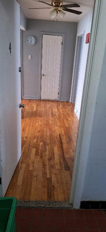 4200 Rue Paul-Pau — photo 2