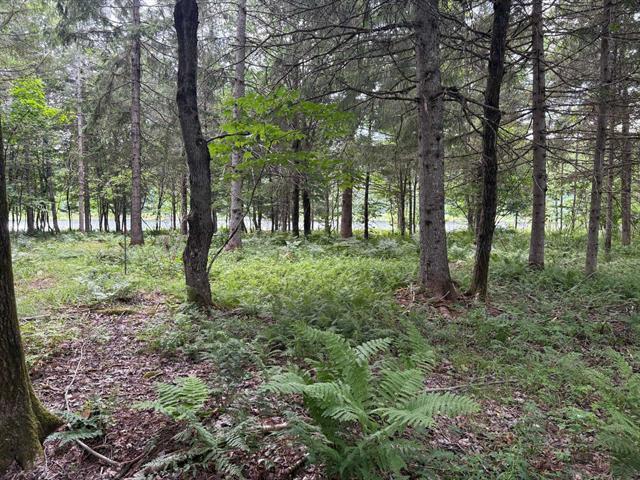 Terrain — photo 3
