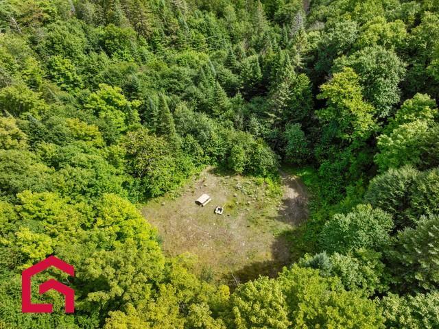Terrain — photo 2
