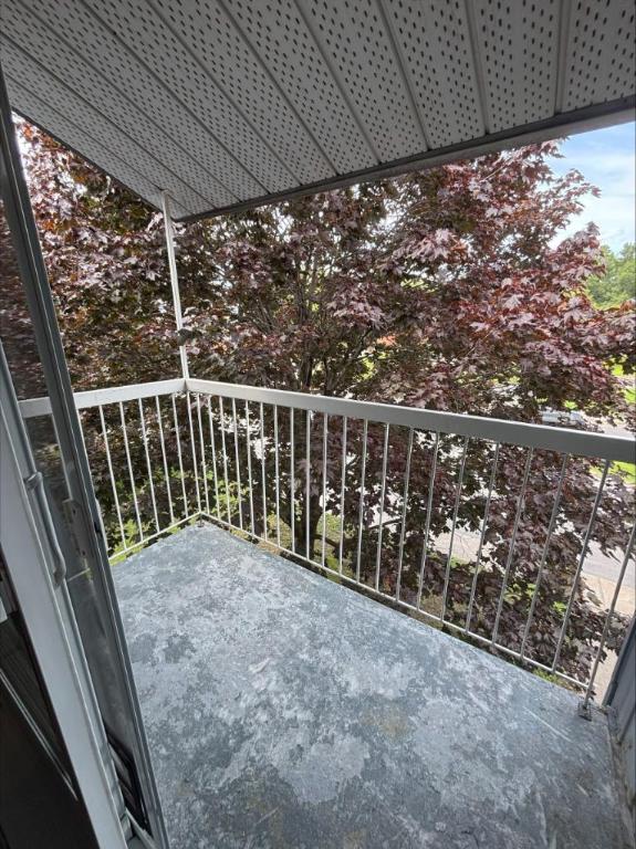 3 CH - 1 SDB - Sorel-Tracy - $1,250 /mo 4