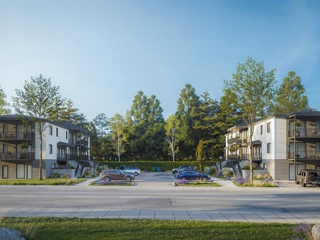 14 — photo 1