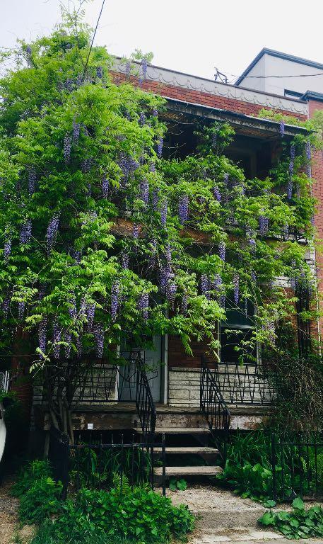 Maison charmante meublée à louer dans Verdun — photo 1