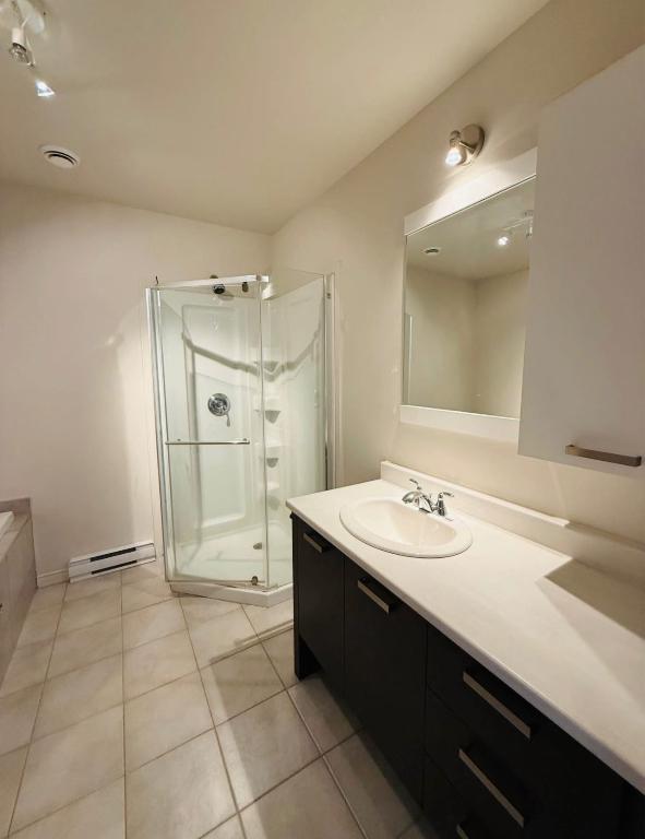 51 Rue Saint-Denis Chateauguay — photo 3
