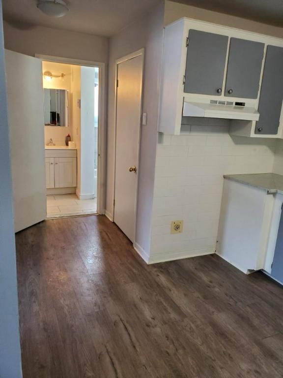 Spacious 1 BR apartment – ​​Saint-Hubert 3