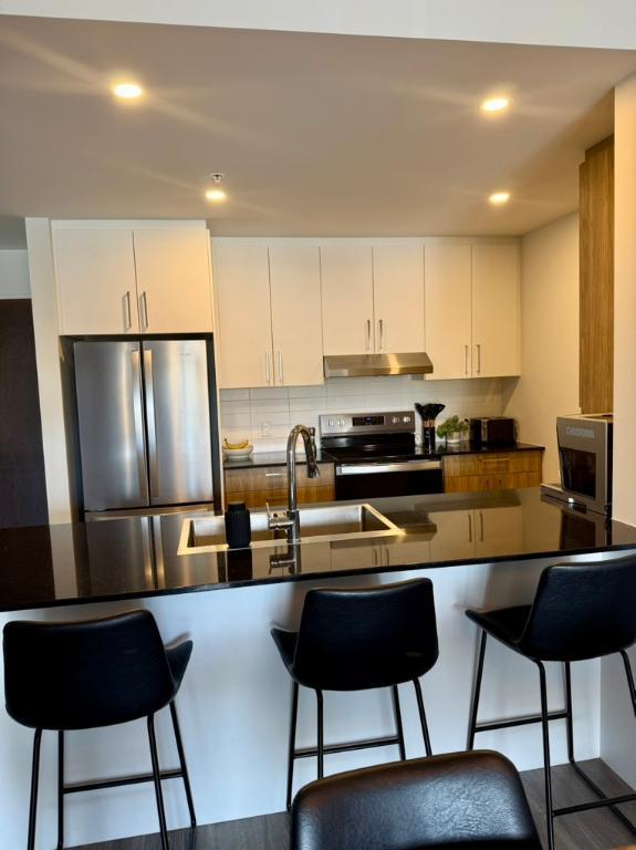 Appartement 3 1/2+ avec droit aux animaux! 4