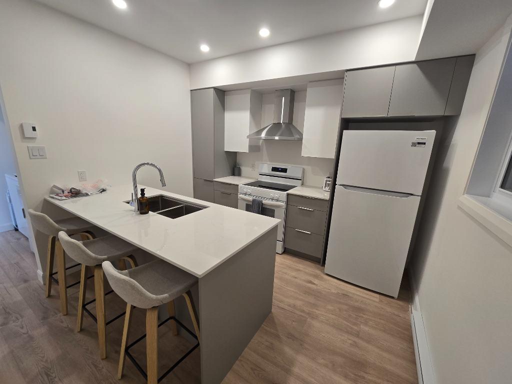 3 et 1/2 rénové a neuf style condo vue sur rivières St-Maurice, centre-ville
