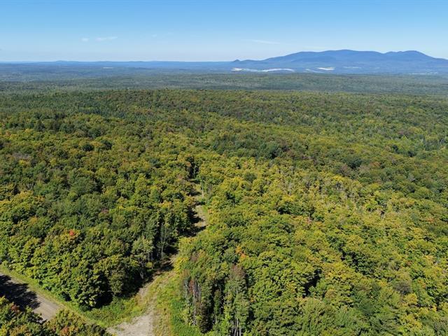 Chartierville (Estrie) : Terre à bois de 69 acres — photo 2
