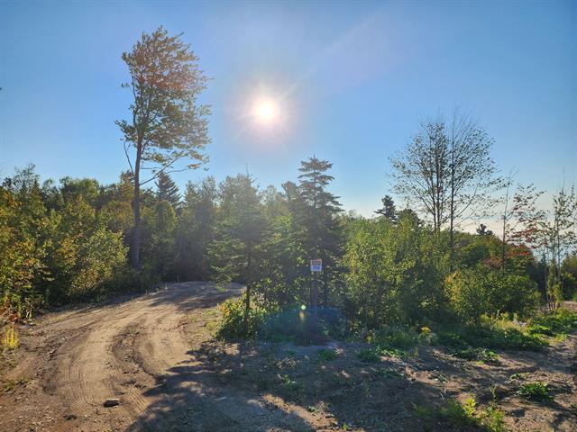 Terrain — photo 3