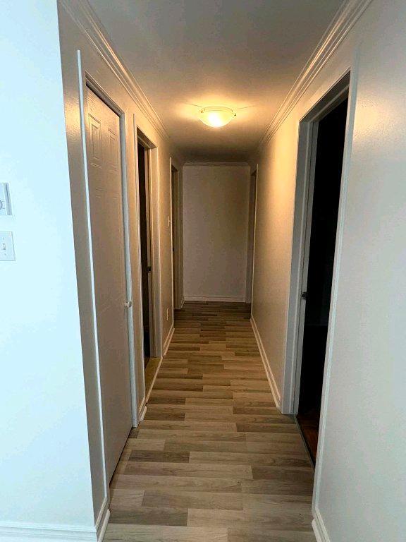 •Grand 5 1/2 à louer (Rénovation août 2026), Terrebonne, île Saint-Jean 4