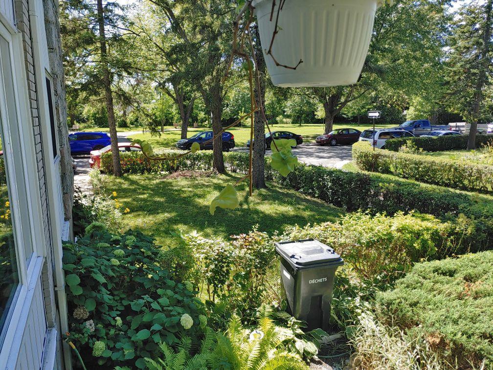 Maison près du Centre de la nature, 3 chambres, 1,5 salle de bain, salle familiale, jardin 3