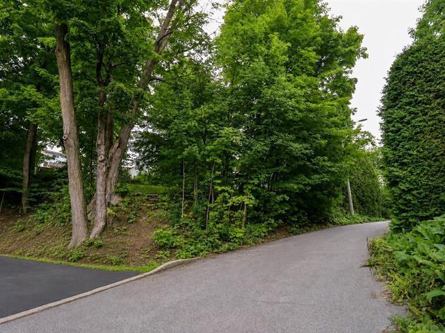 Terrain — photo 2